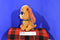 Disney Store Lady and The Tramp Lady Plush