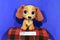 Disney Store Lady and The Tramp Lady Plush