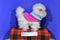 Battat Pucci Pups Bichon Frise Puppy Dog in Pink and Blue Cape Coat Plush