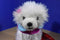 Battat Pucci Pups Bichon Frise Puppy Dog in Pink and Blue Cape Coat Plush