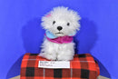 Battat Pucci Pups Bichon Frise Puppy Dog in Pink and Blue Cape Coat Plush