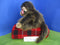 Ty Classic Cha Cha the Brown Monkey 1998 Beanbag Plush