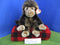 Ty Classic Cha Cha the Brown Monkey 1998 Beanbag Plush