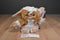 Toy Factory Gremlins Gizmo 2015 Plush