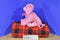 Ty Pinkys Fab Pink Poodle Plush 2004 Bag Purse