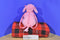 Ty Pinkys Fab Pink Poodle Plush 2004 Bag Purse