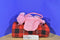 Ty Pinkys Fab Pink Poodle Plush 2004 Bag Purse