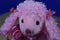 Ty Pinkys Fab Pink Poodle Plush 2004 Bag Purse