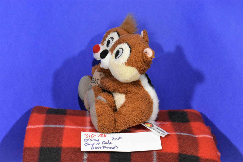 Disney Parks Chip and Dale Best Friends Plush