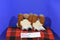 Disney Parks Chip and Dale Best Friends Plush