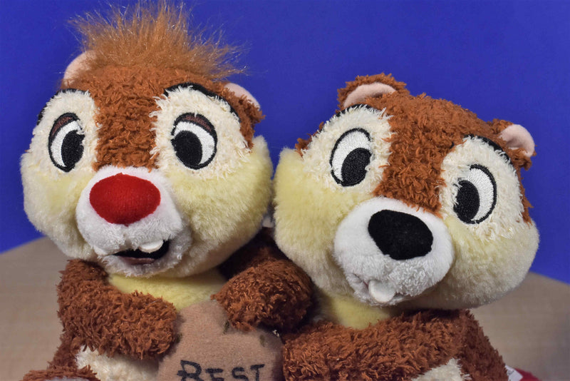 Disney Parks Chip and Dale Best Friends Plush