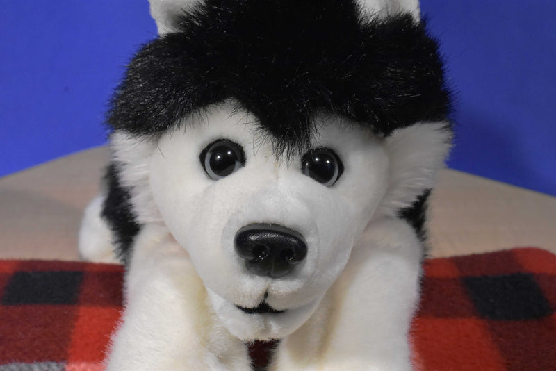 Stuffed Animal House Black and White Husky Plush