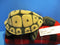 Folkmanis Tortoise Turtle Puppet Plush