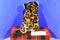 Wild Republic Leopard 2016 Beanbag Plush