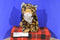 Wild Republic Leopard 2016 Beanbag Plush