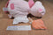 Scentsy Buddy Penny Pig Beanbag Plush With Scent Packet