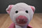 Scentsy Buddy Penny Pig Beanbag Plush With Scent Packet