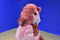 Wild Republic Pink Sea Horse 2012 Beanbag Plush