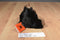 Rare Bear Black and Brown Mink Fur Teddy 1982 Plush