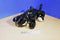Redemption Plus Black Gold Reversible Sequin Chameleon 2018 Plush