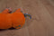 Commonwealth Lots-a-Leggggggs Legs Light Up Caterpillar 1999 Plush