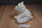 Wishpets Darwin Polar Bear 2002 Beanbag Plush