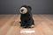 JAAG Black Bear Beanbag Plush