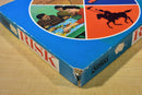 General Mills Parker Brothers 1968 Risk Wood Pieces