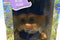 ACE Novelty Treasure Trolls Cheer Leader Millie Blue Wishstone Doll