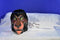 Applause Disney Lion King Scar 12 oz. Ceramic Mug Cup