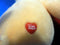 Care Bears Friend Bear 2003 Plush