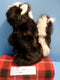 A&A Fancy Zoo Skunk 2002 Plush Puppet