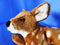 Deer Fawn Beanbag Plush