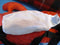 Accessory Innovations Animations Yo Gabba Gabba Muno 2012 Backpack