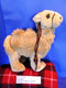 Plushland Bactrian Camel Plush