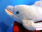 Wildlife Artists Bottle Nosed Dolphin 2004 Plush