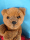 24K Polar Puff Special Effects Brown Bear Greyson 1993 Plush