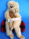 Target Cuddle Zone Hugging Beige Brown Monkey Plush