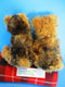 Victoria's Secret Yorkies Max and Lucy 2003 Beanbag Plushes