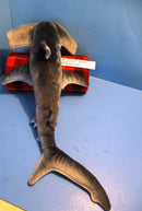 Rinco Blue Hammerhead Shark 2011 Plush