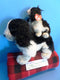 Ty Beanie Buddy 2002 and Baby 2001 Frolic Cocker Spaniel Beanbag Plushes