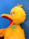 Build-A-Bear Big Bird with Red Jacket and Pin 2006 Plush