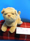 Hasbro Fur Real Yellow Lab Newborn Puppy 2008