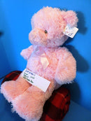 Baby Gund Pink Teddy Bear Plush