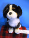 Sitting Bernese Mountain Dog Plush