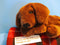 Commonwealth Chocolate Lab Brown Dog 2001 Beanbag Plush