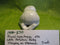 Royal Copenhagen White Porcelain Infant Baby Sleeping on Stomach Figurine