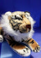 Northeast Import Bengal Tiger Plush