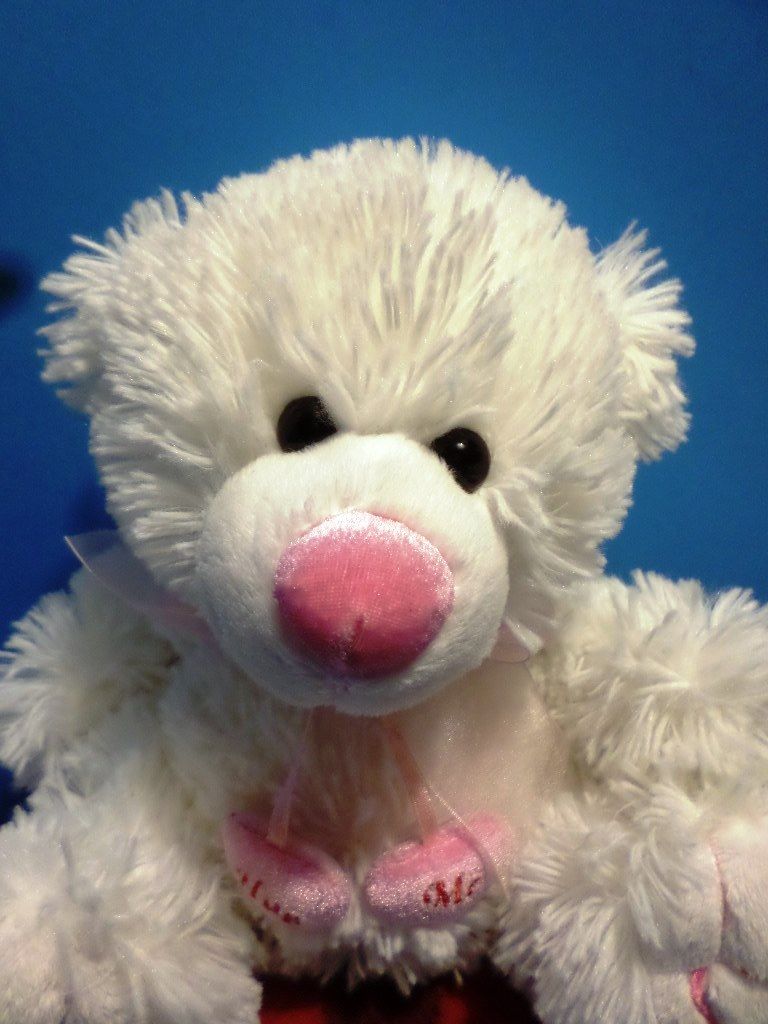 Caltoy Hug Me White and Pink Teddy Bear Plush