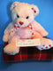 Ty Classic Blushing Pink Teddy Bear with Hearts 2003 Beanbag Plush